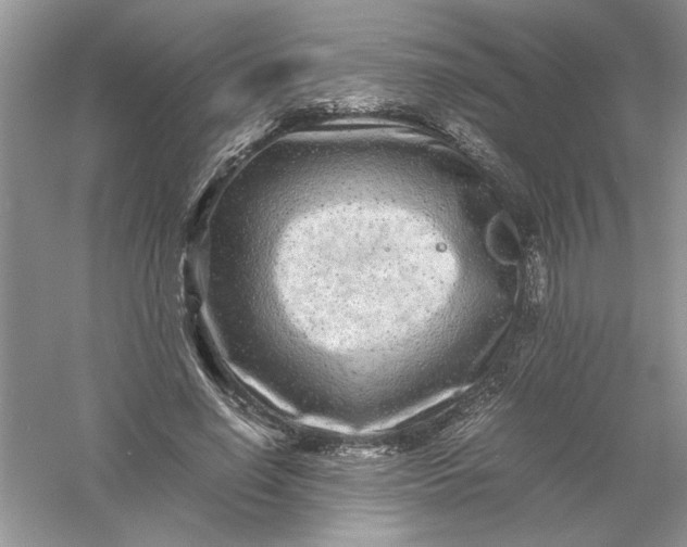 X0000061140638200512022248