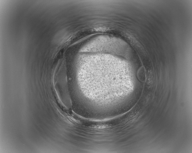 X0000061140639200512022248