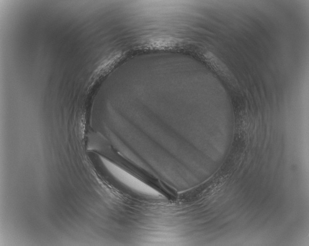 X0000061140640200512022248