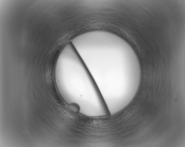 X0000061140641200512022248