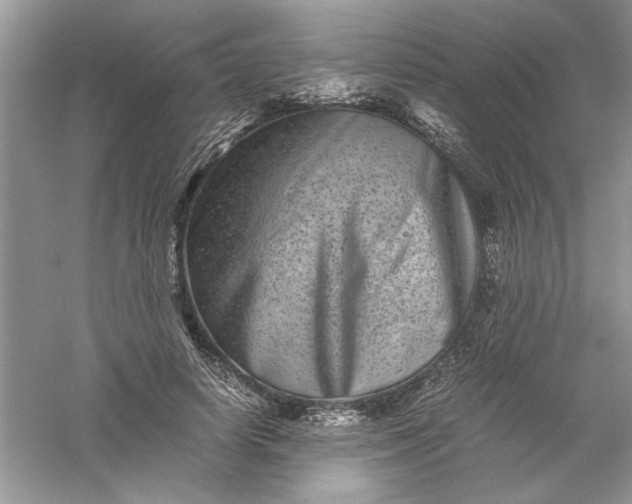 X0000061140642200512022248