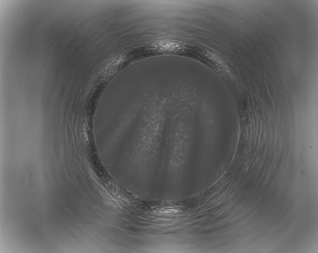 X0000061140643200512022248