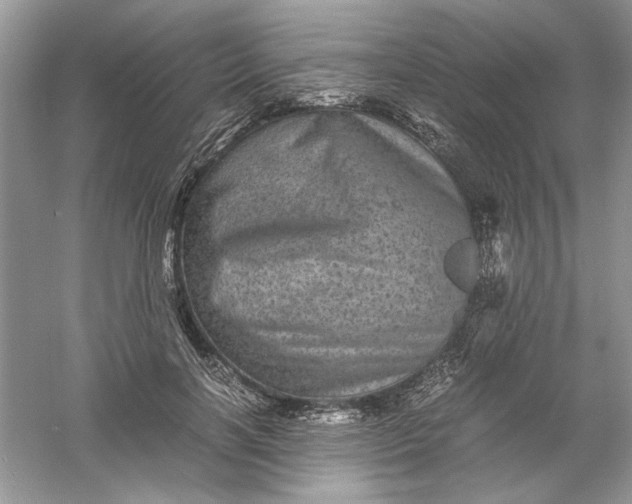 X0000061140646200512022248