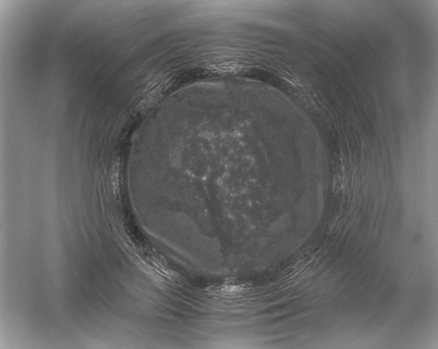 X0000061140647200512022248