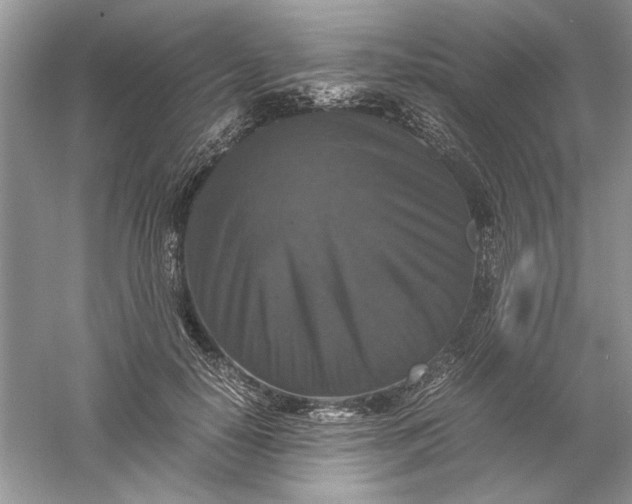 X0000061140650200512022249