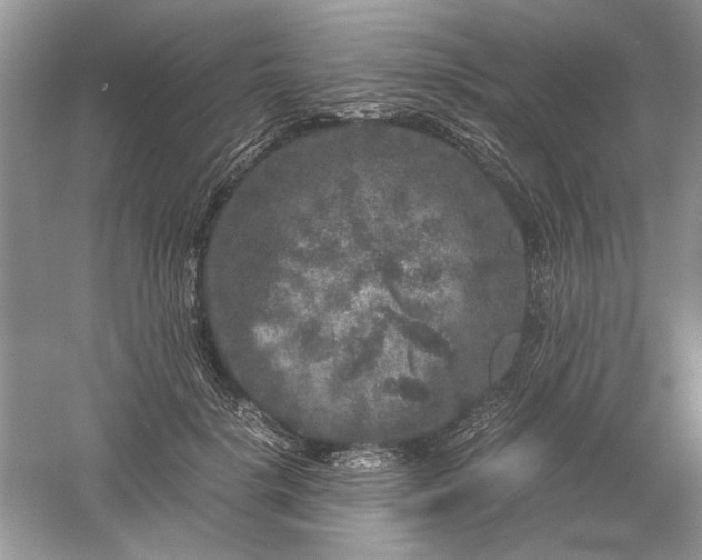 X0000061140652200512022249