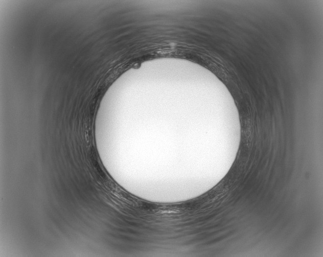 X0000061140653200512022249