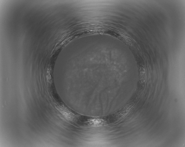 X0000061140654200512022249