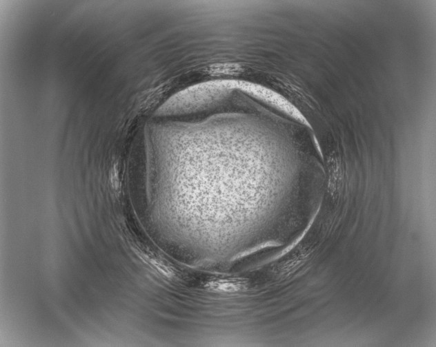 X0000061140655200512022249