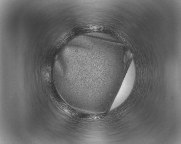 X0000061140656200512022249