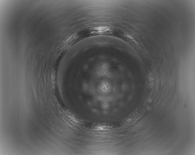 X0000061140657200512022249