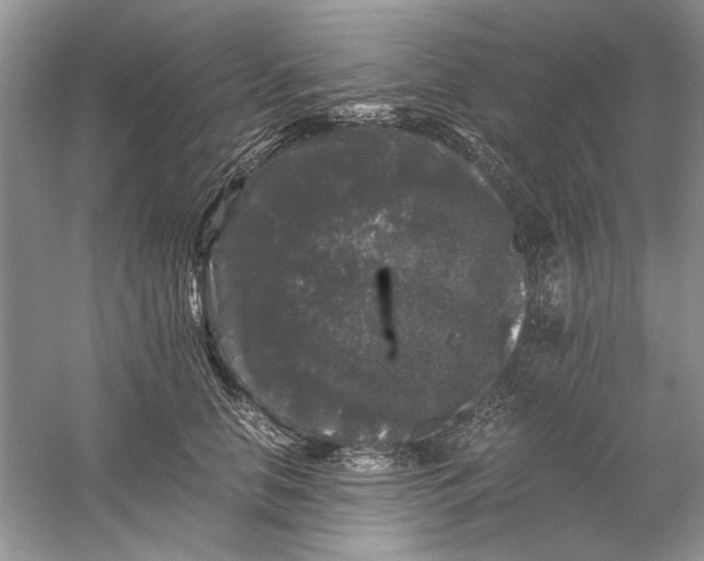 X0000061140658200512022249