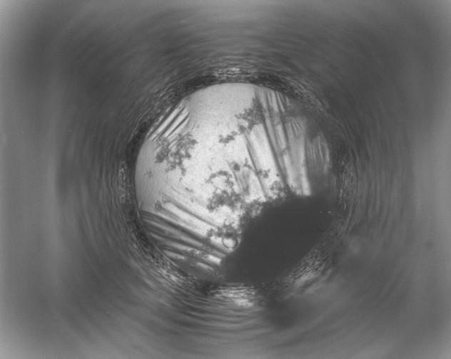 X0000061140659200512022249