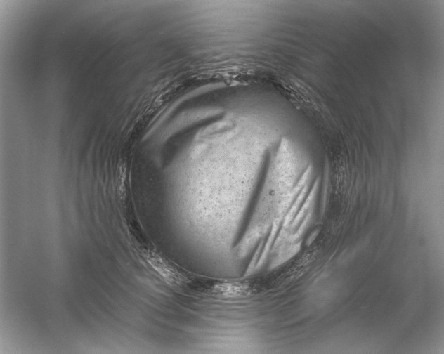 X0000061140660200512022249