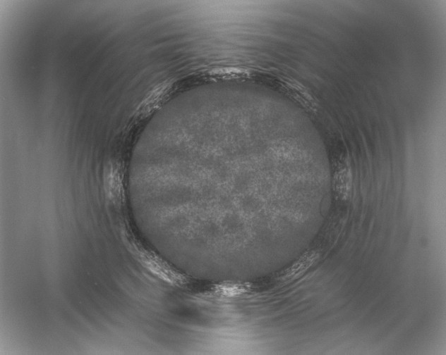 X0000061140662200512022249