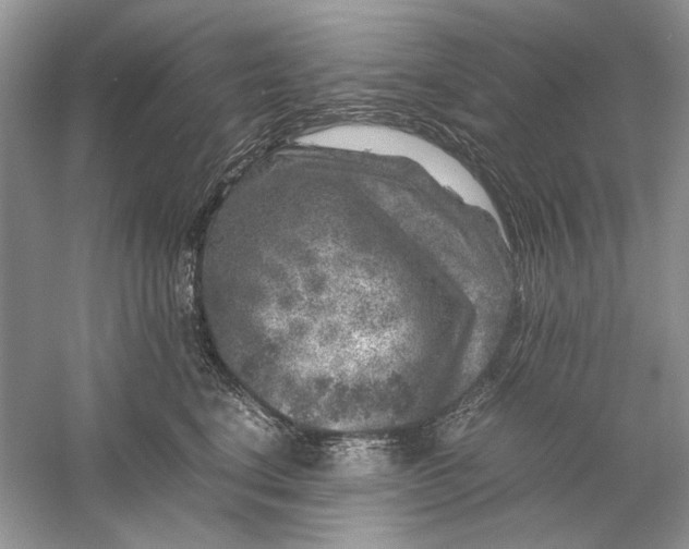 X0000061140664200512022249