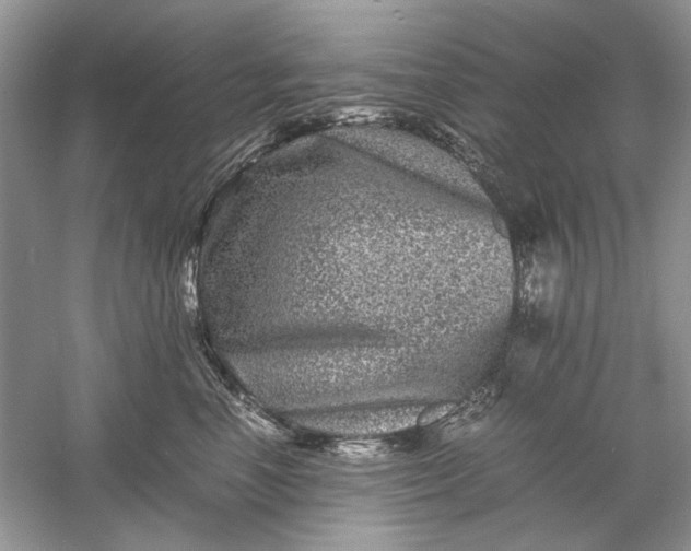 X0000061140666200512022249