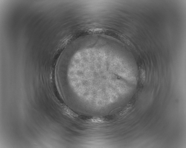 X0000061140668200512022249