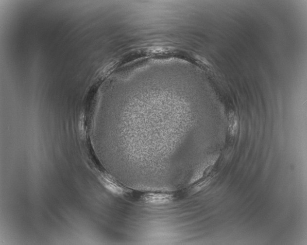 X0000061140670200512022249