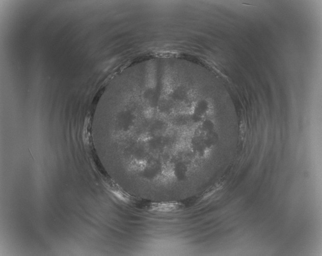 X0000061140671200512022249