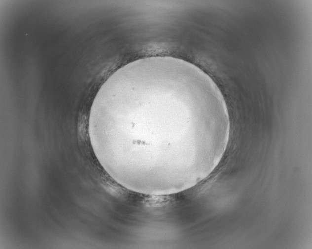 X0000061140672200512022249