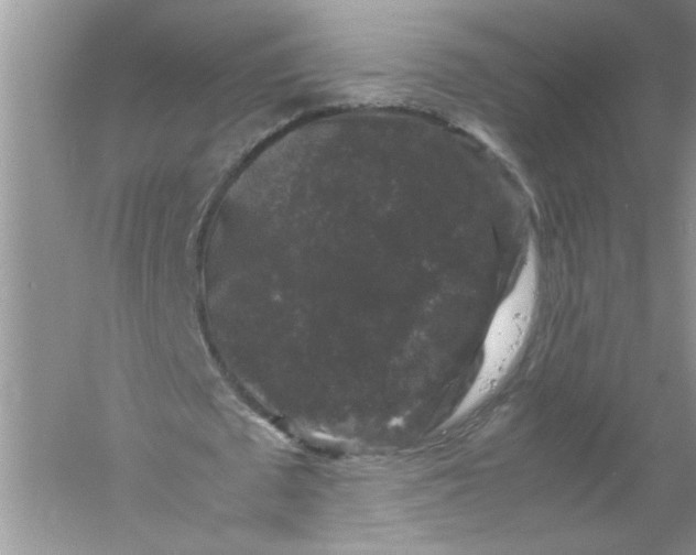 X0000061140673200512022248