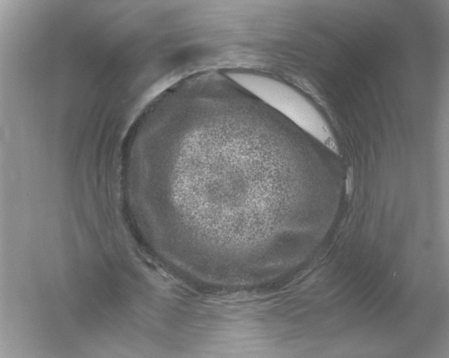 X0000061140675200512022248