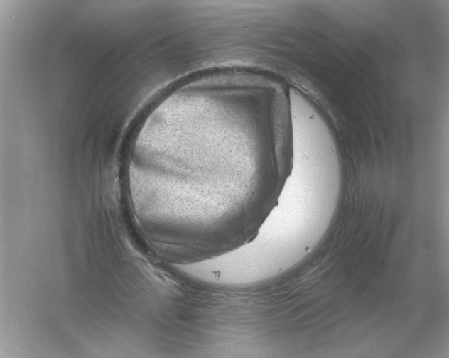 X0000061140676200512022248