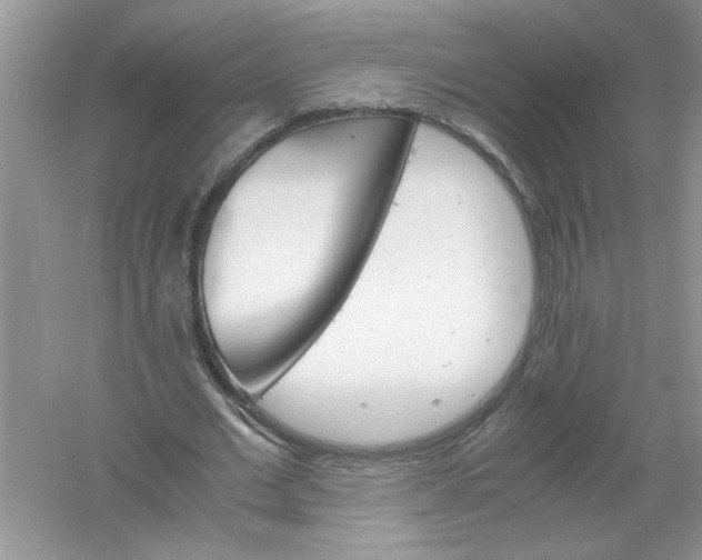 X0000061140677200512022248