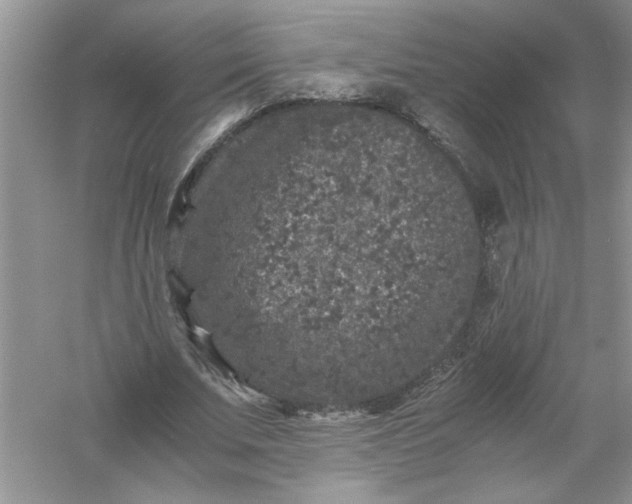 X0000061140679200512022248