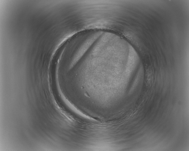 X0000061140680200512022248