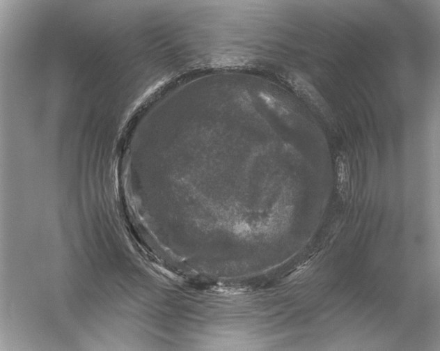 X0000061140684200512022248