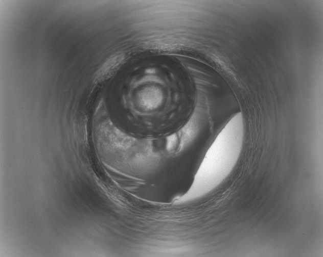 X0000061140685200512022248