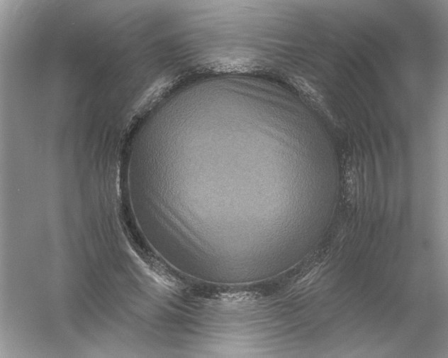 X0000061140686200512022248