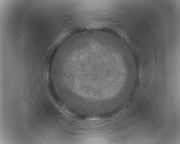 X0000061140687200512022248