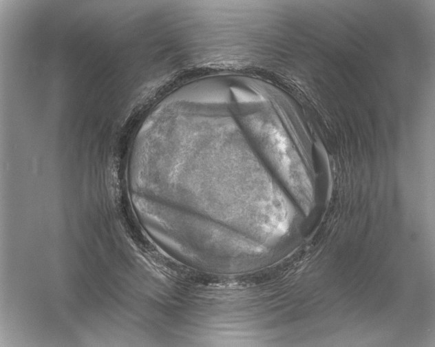 X0000061140688200512022248