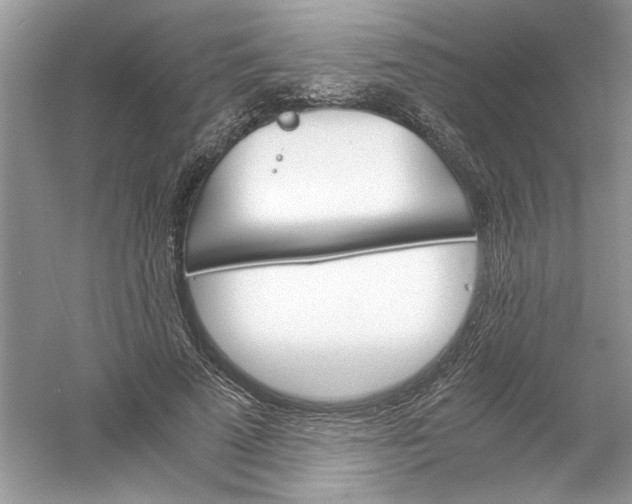 X0000061140689200512022248