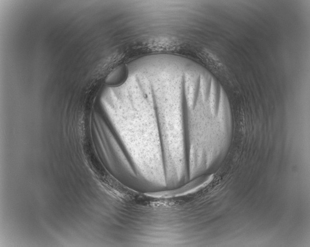 X0000061140690200512022248