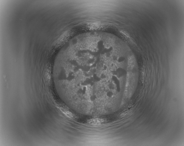 X0000061140691200512022248