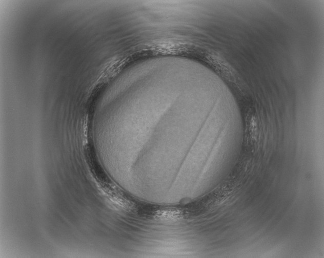 X0000061140694200512022248