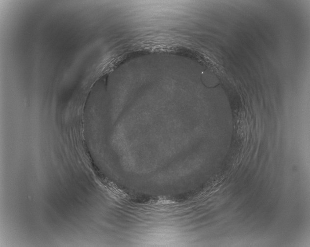 X0000061140695200512022248