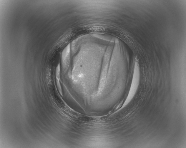 X0000061140696200512022248