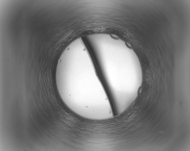 X0000061140697200512022248