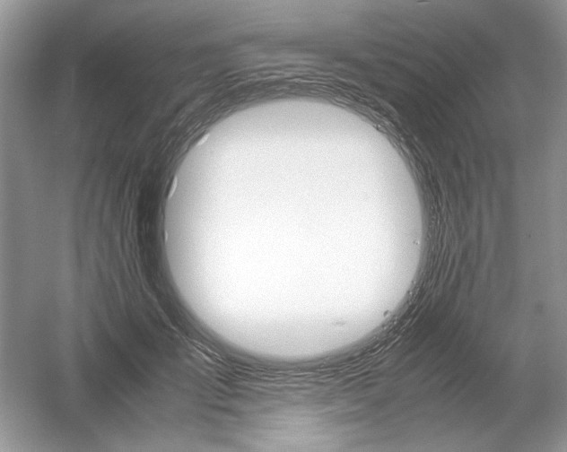 X0000061140701200512022248