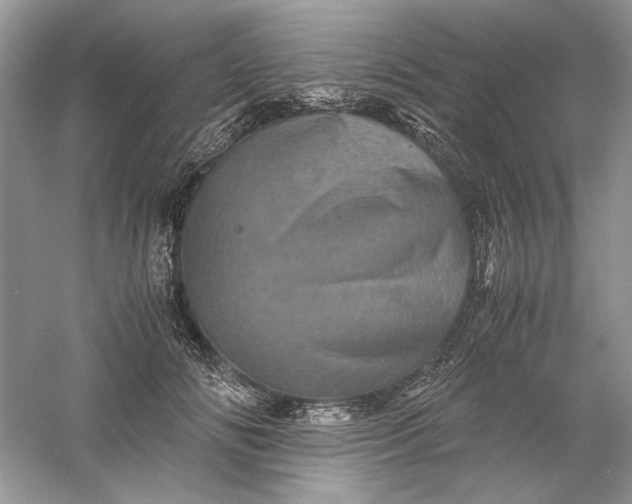 X0000061140702200512022248