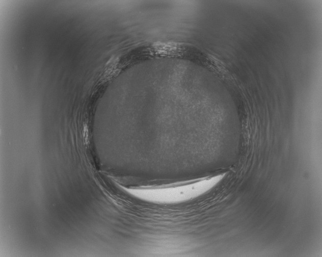 X0000061140703200512022248