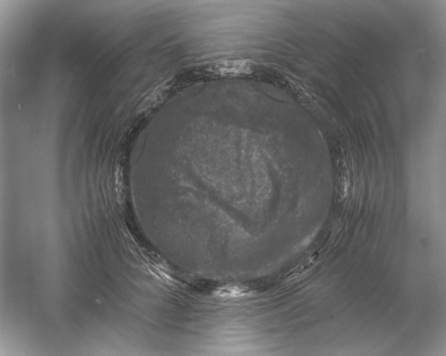 X0000061140704200512022248