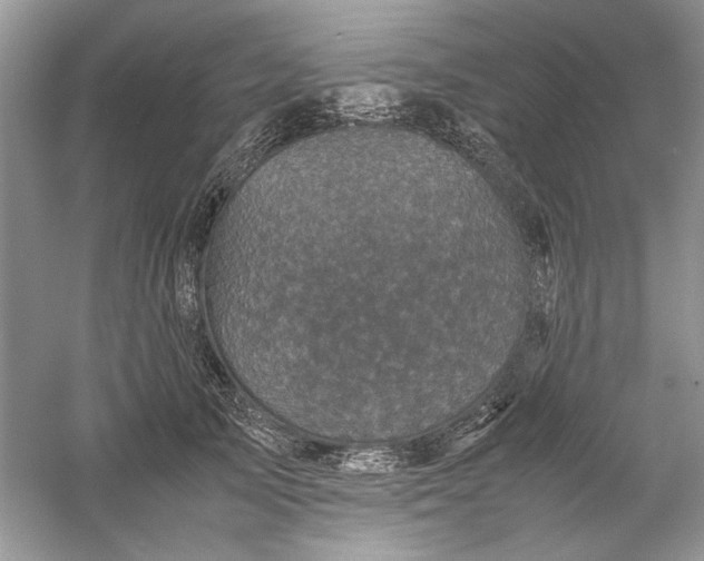 X0000061140705200512022248