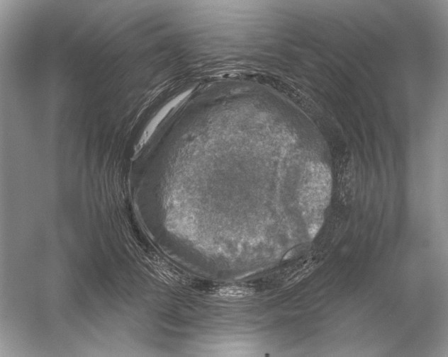 X0000061140708200512022247