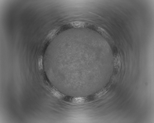 X0000061140717200512022247